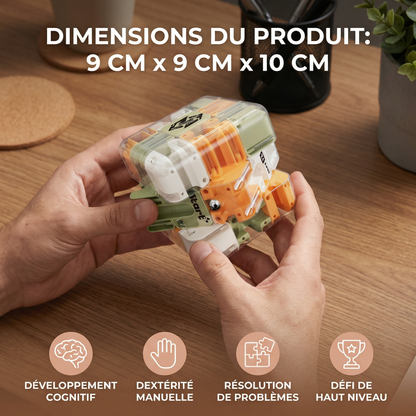 3D labyrinthe puzzle cube
